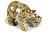 Realistic Polished Oolite (Pisolite) Bear with Fish - Colorado #308485-1